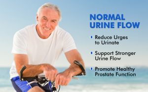 Enlarged Prostate Supplement